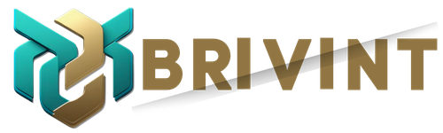 BRIVINT LTD logo